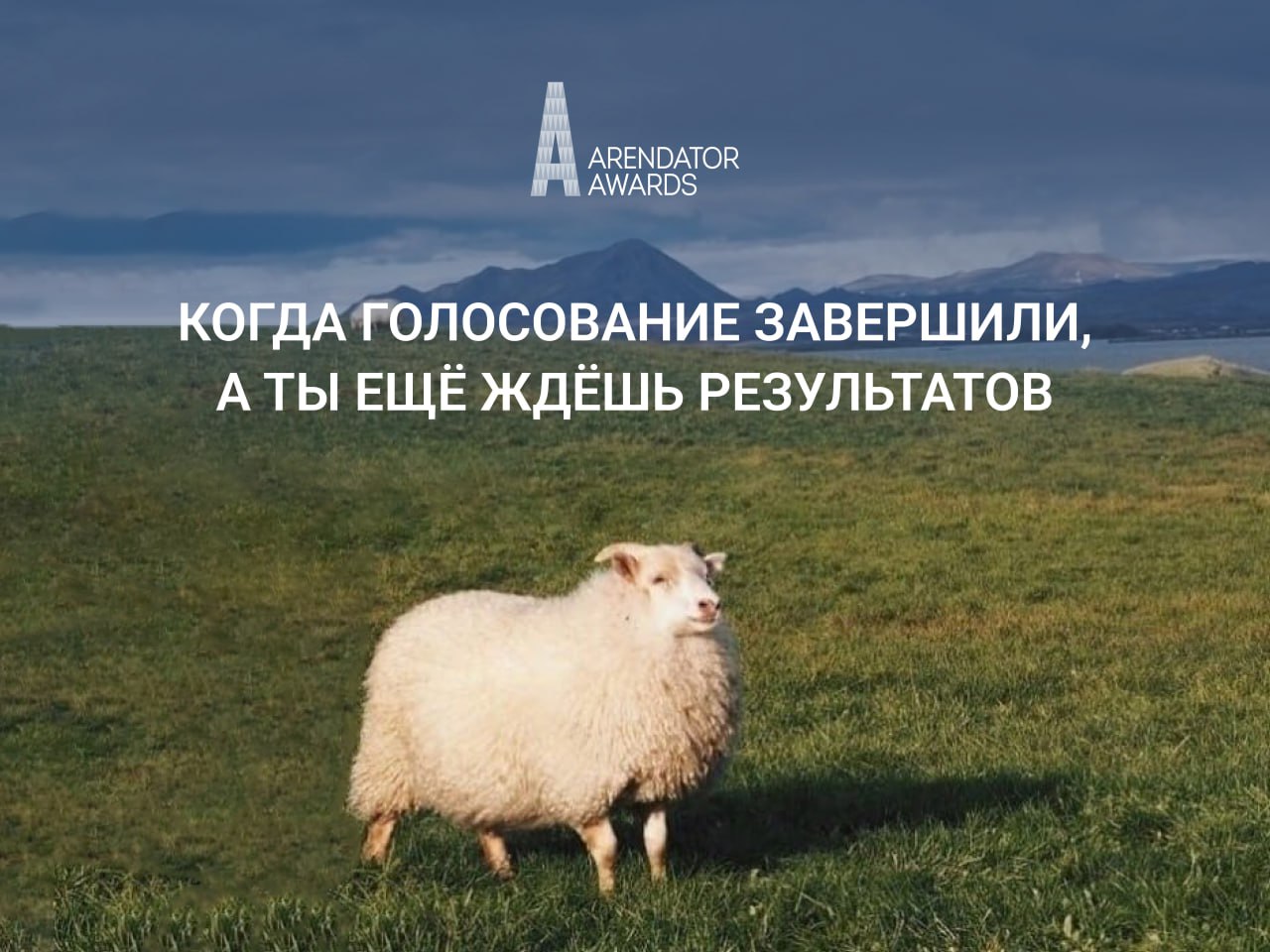 Этап онлайн-голосования — завершен!